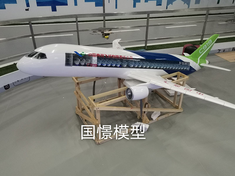 涉县飞机模型